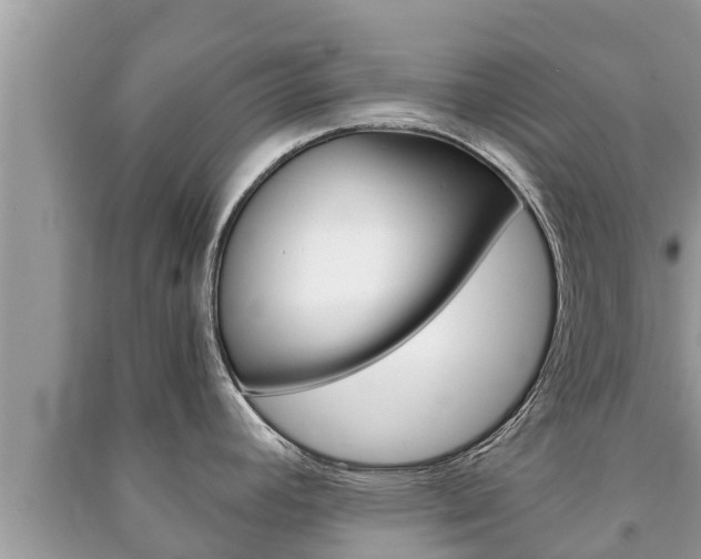 X0000091221392200708091128
