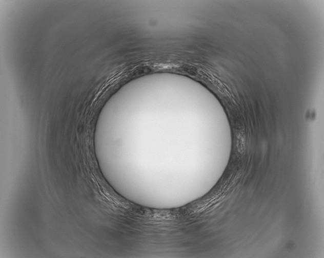 X0000091221393200708091127