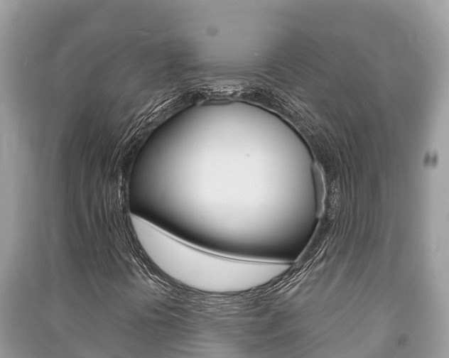 X0000091221394200708091127