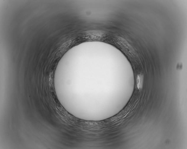 X0000091221395200708091127