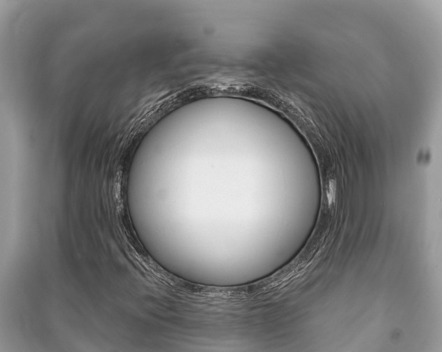 X0000091221396200708091127