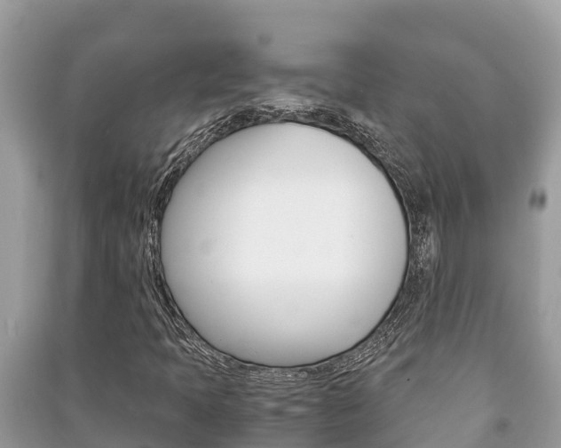X0000091221397200708091127