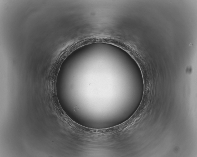 X0000091221398200708091127