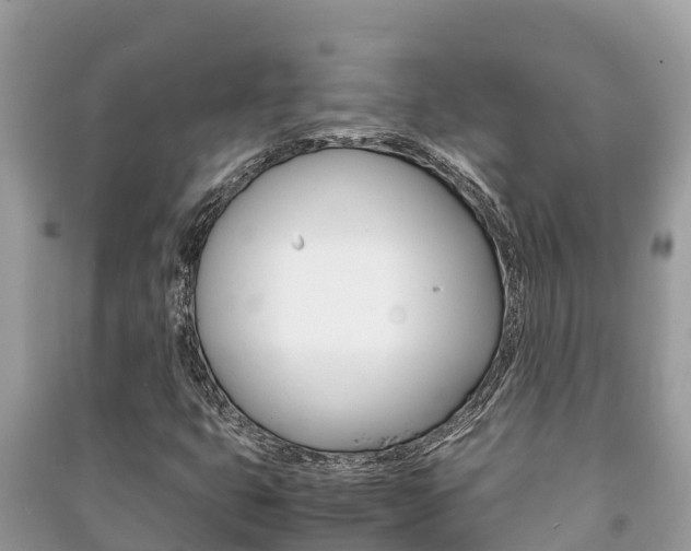 X0000091221399200708091127
