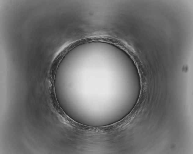 X0000091221400200708091127