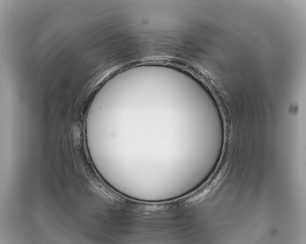 X0000091221401200708091127