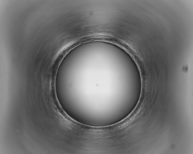 X0000091221402200708091127