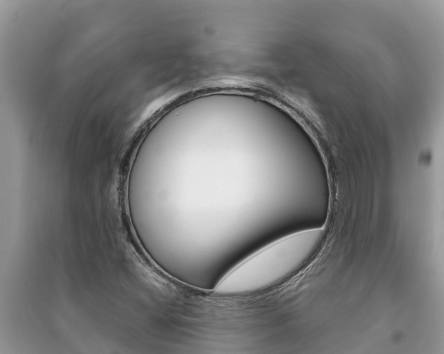 X0000091221404200708091127