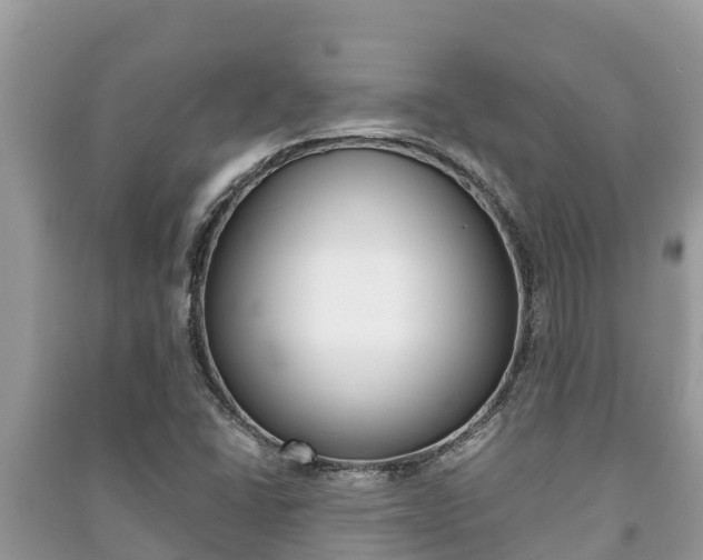 X0000091221406200708091127