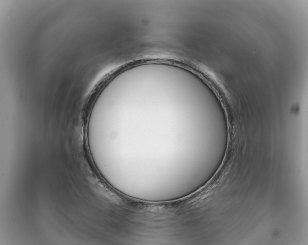 X0000091221408200708091127