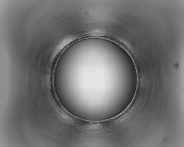 X0000091221410200708091127