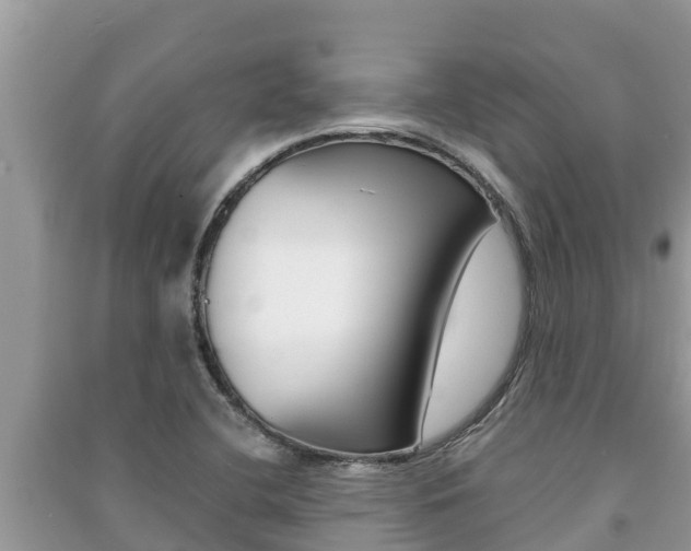 X0000091221412200708091127