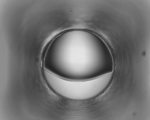 X0000091221414200708091127