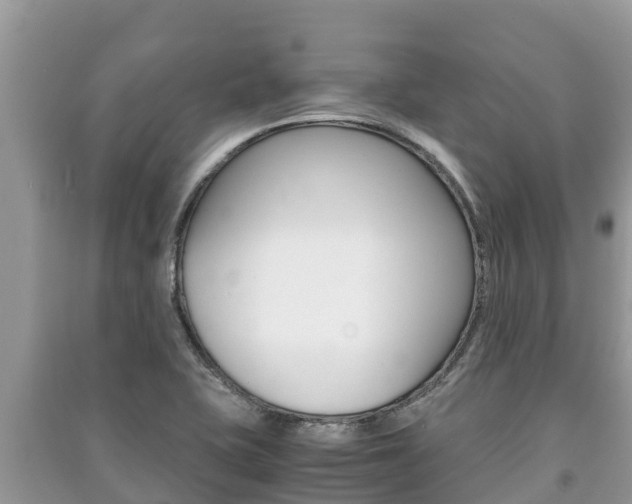 X0000091221415200708091127