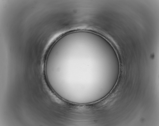 X0000091221416200708091127