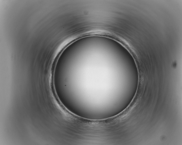 X0000091221418200708091127