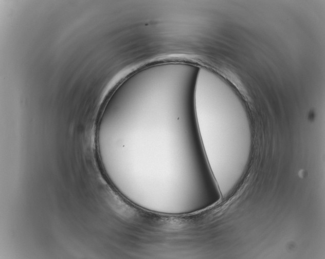 X0000091221420200708091127