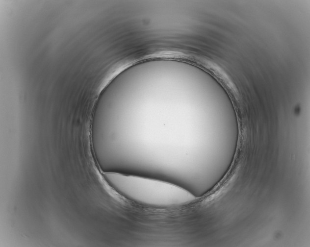 X0000091221425200708091127