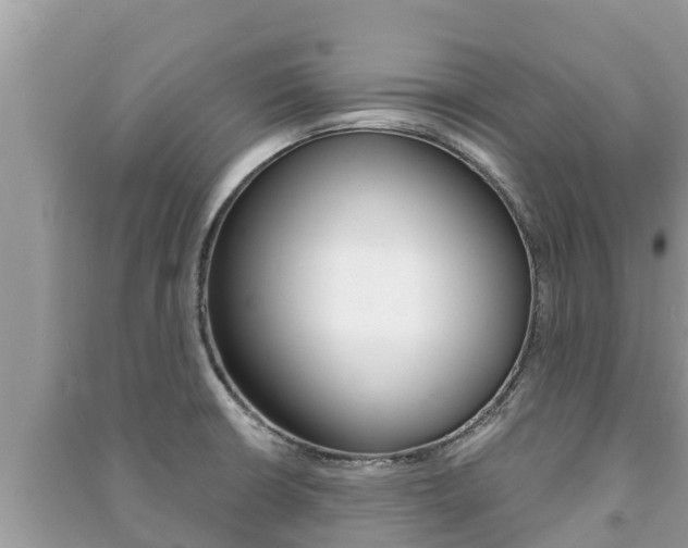 X0000091221426200708091127