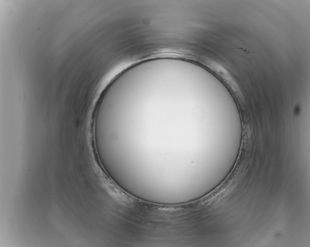 X0000091221427200708091128