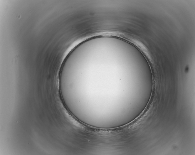 X0000091221428200708091128