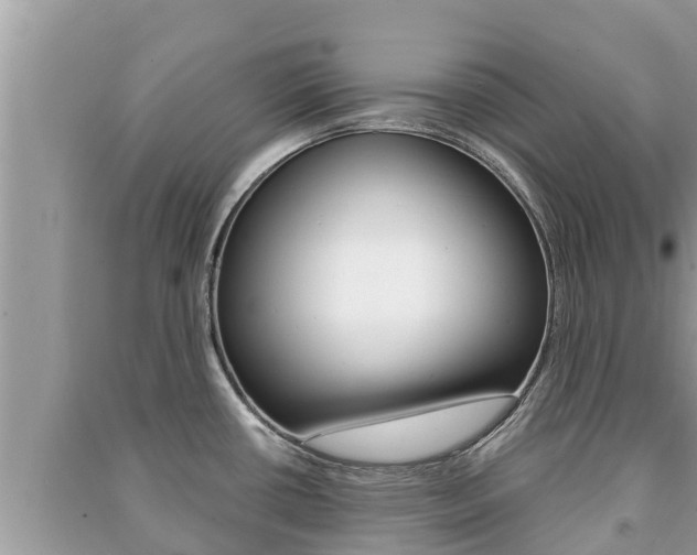 X0000091221434200708091128