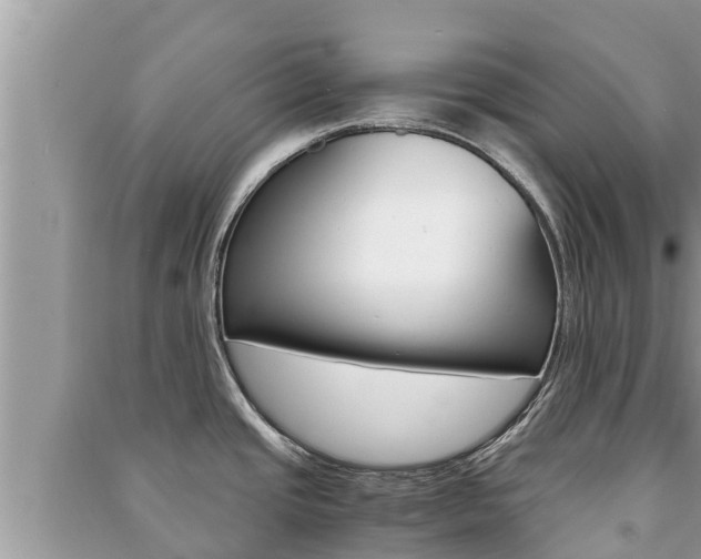 X0000091221437200708091128