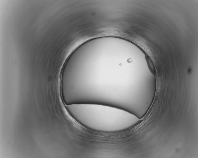 X0000091221439200708091128