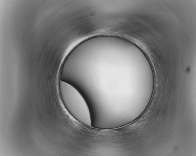 X0000091221440200708091128