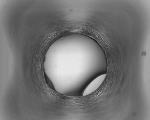 X0000091221441200708091127