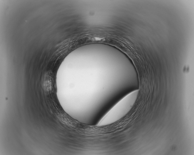 X0000091221442200708091127