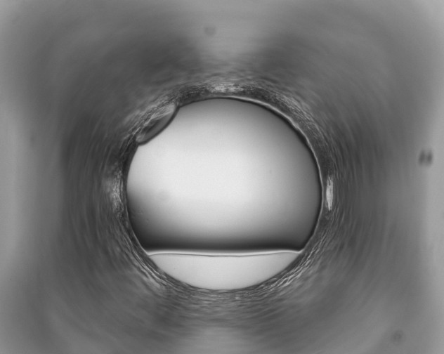 X0000091221444200708091127