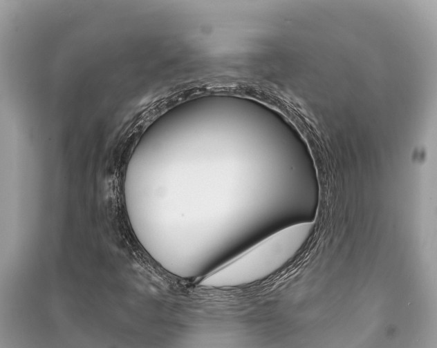 X0000091221445200708091127