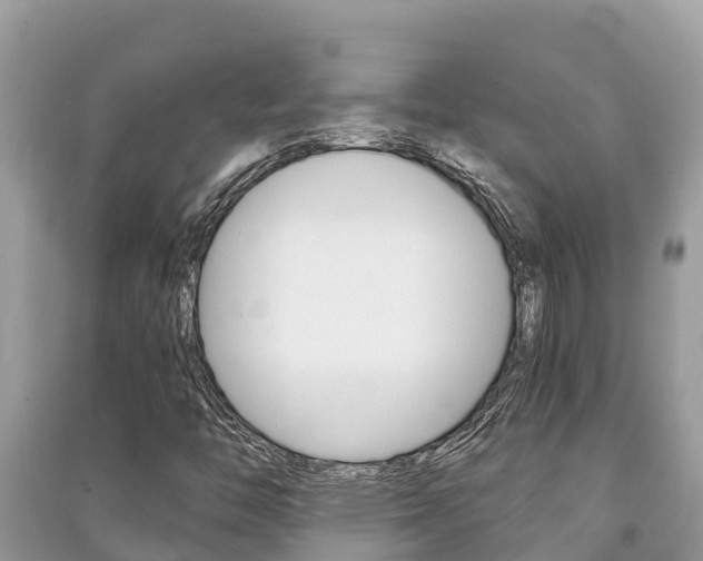 X0000091221446200708091127