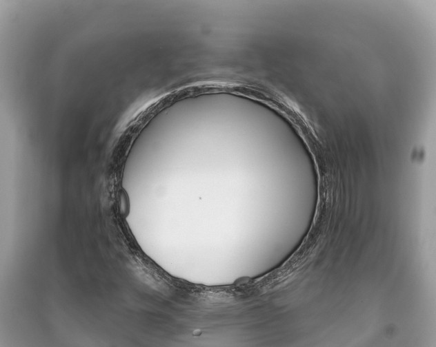 X0000091221448200708091127