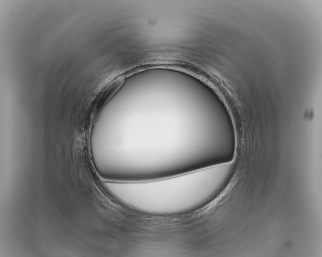 X0000091221449200708091127
