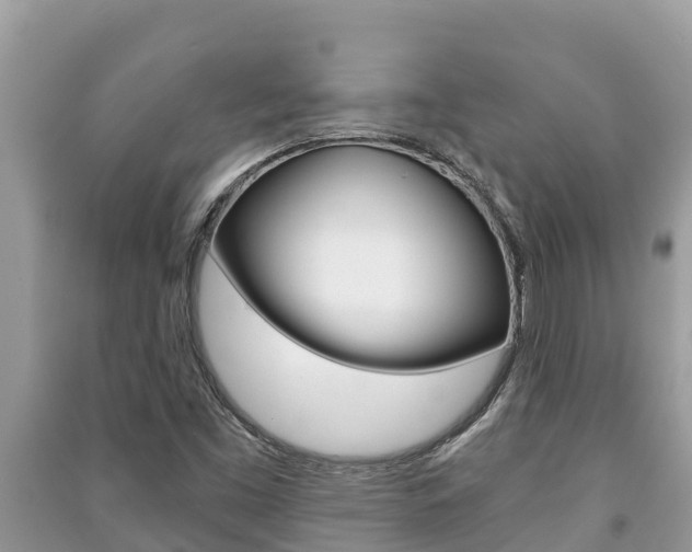 X0000091221453200708091127