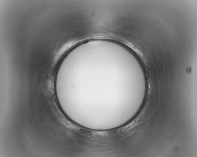 X0000091221454200708091127