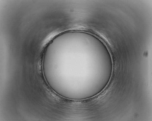 X0000091221455200708091127