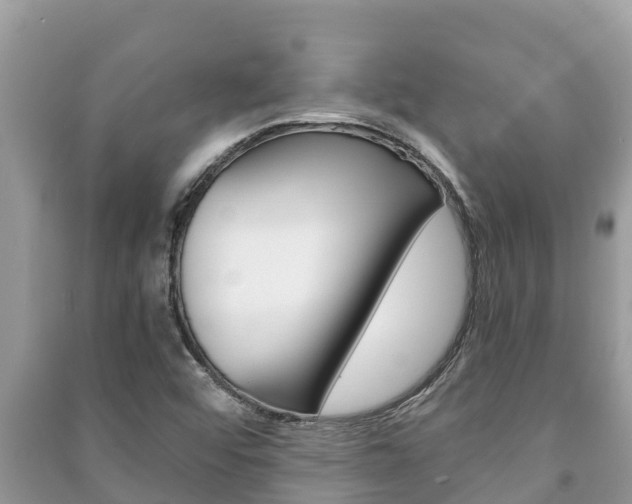 X0000091221456200708091127