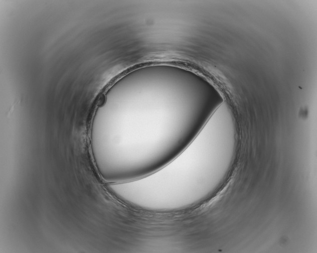 X0000091221457200708091127