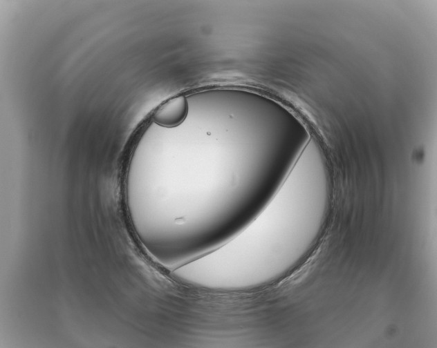 X0000091221458200708091127