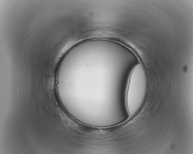 X0000091221459200708091127