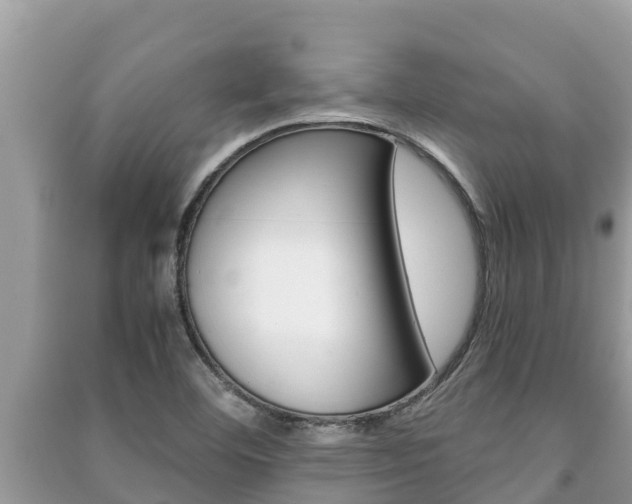 X0000091221460200708091127