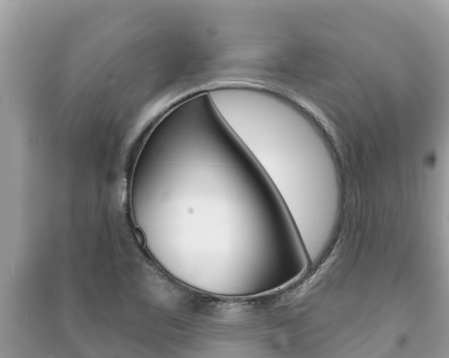 X0000091221461200708091127