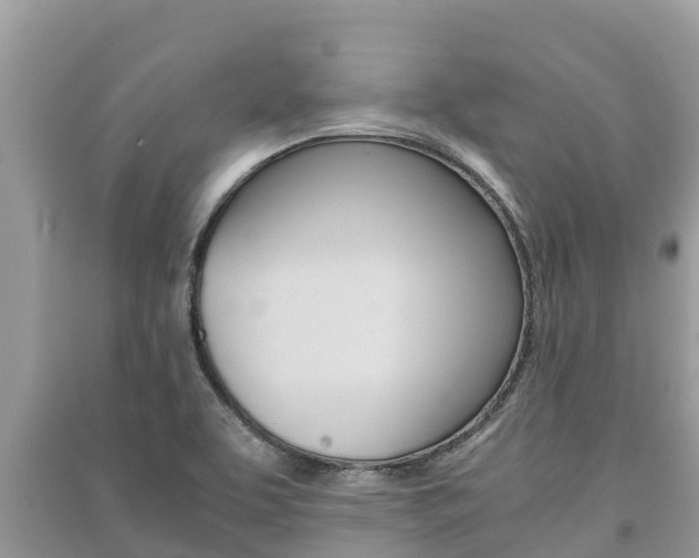 X0000091221463200708091127