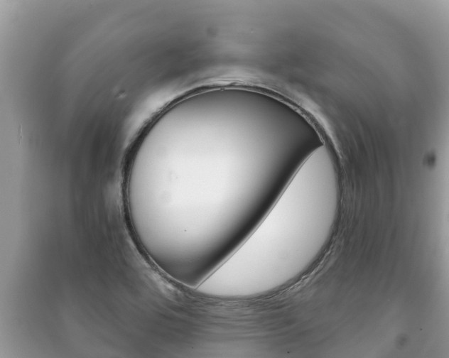 X0000091221464200708091127