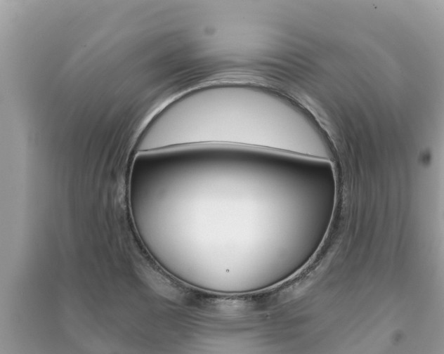 X0000091221465200708091127