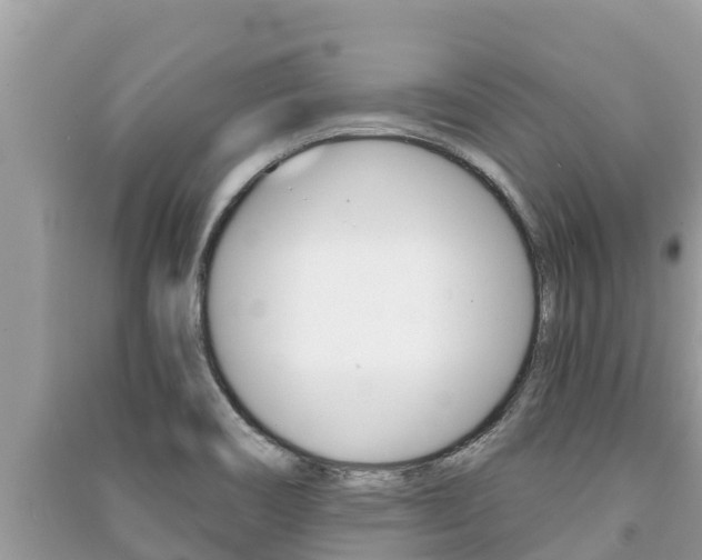 X0000091221466200708091127