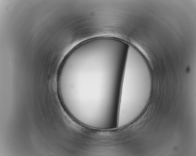 X0000091221468200708091127